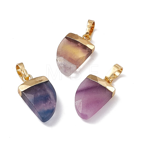 Natural Fluorite Pendants G-L479-43G-1