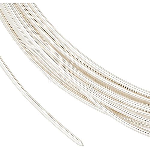 1Pc 999 Sterling Silver Wire STER-BC0001-66A-1