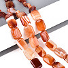Natural Agate Beads Strands G-N356-03A-16-1