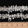 Natural Quartz Crystal Beads Strands GG-CBAC61B-C03-01-5