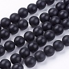 Natural Black Stone Bead Strands G-R193-01-12mm-1