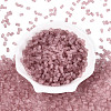 FGB Frosted Transparent Glass Seed Beads SEED-N013-05A-06-2