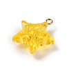 Transparent Resin Pendants RESI-Z016-02E-LG-2