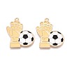 Alloy & Enamel Pendants ENAM-T021-64G-1