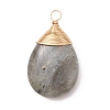 Natural Labradorite Pendants PALLOY-JF05086-02-3