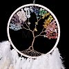 Iron Woven Web/Net with Feather Pendant Decorations LS-AJEW-B017-24-4