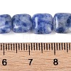 Natural Blue Spot Jasper Beads Strands G-M435-A03-01-5