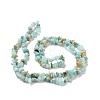 Natural Amazonite Chips Beads Strands X-G-M205-12A-3