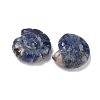 Natural Sodalite Conch Display Decorations DJEW-D303-01L-2