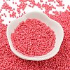 Baking Paint Glass Seed Beads SEED-S042-05B-87-2