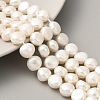 Natural Cultured Freshwater Pearl Beads Strands PEAR-A006-09I-2