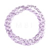 Transparent Glass Beads Strands GLAA-H038-03D-2