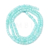 Natural Amazonite Beads Strands G-K366-H01-3mm-3