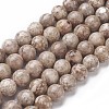 Natural Fossil Coral Beads Strands G-F563-02-8mm-1