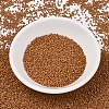 MIYUKI Delica Beads SEED-X0054-DB2287-2