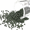 11/0 FGB Grade A Baking Paint Glass Seed Beads X-SEED-N001-A-1040-1