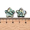 Natural Abalone Shell/Paua Shell Beads SHEL-B003-06-3