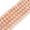 Natural Cultured Freshwater Pearl Beads Strands PEAR-I007-07X-03B-2