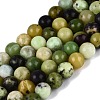 Natural Serpentine Beads Strands G-Q616-07A-2