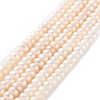 Natural Cultured Freshwater Pearl Beads Strands PEAR-I007-02E-02B-2