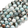 Natural Larimar Beads Strands G-L642-B19-8mm-2