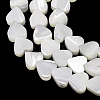 Natural Trochid Shell/Trochus Shell Beads Strands SH-CBA2978-19A-2