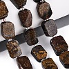 Natural Bronzite Beads Strands G-C098-A39-01-1