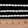 Natural Freshwater Shell Beads Strands SH-CBA2978-06A-4