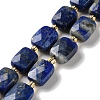 Natural Lapis Lazuli Beads Strands G-H061-A07-01-1