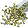 6/0 Opaque Glass Seed Beads SEED-YW0002-13B-2