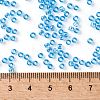 TOHO Round Seed Beads SEED-JPTR08-0163-4