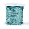 100M Segment Dyed Round Polyester Braided Cords OCOR-N009-03A-03-1