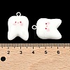 Opaque Resin Pendants LS-RESI-K203-16-4