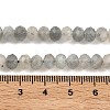 Natural Labradorite Rondelle Bead Strands G-O095-04-A-01A-3