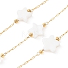 304 Stainless Steel & Natural Shell Star & Round Bead Cable Chains CHS-G048-10G-1
