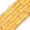 Dyed Natural Freshwater Shell Beads Strands SH-CBA2978-05B-1