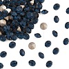 Preciosa® MAXIMA Crystal Round Stones Y-PRC-RBSS29-30340-1