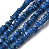 Natural Freshwater Shell Beads SHEL-B003-01M-1