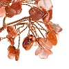 Natural Carnelian Chips Money Tree Decorations DJEW-C016-01D-2