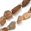 Natural Picture Jasper Beads Strands GG-CBA0B77-A08-03-2