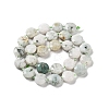 Natural Gemstone Beads Strands G-NH0004-017-3