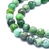 Natural Variscite Beads Strands G-F715-109A-3