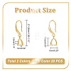   4 Sets 2 Colors Brass Smooth Earring Hooks EJEW-PH0001-22-2
