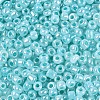8/0 Glass Seed Beads SEED-US0003-3mm-154-2
