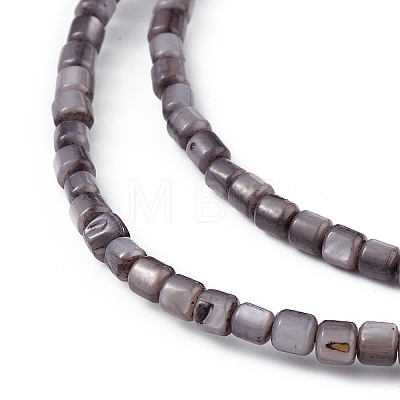 Natural Freshwater Shell Dyed Beads Strands SHEL-M018-14-01-1
