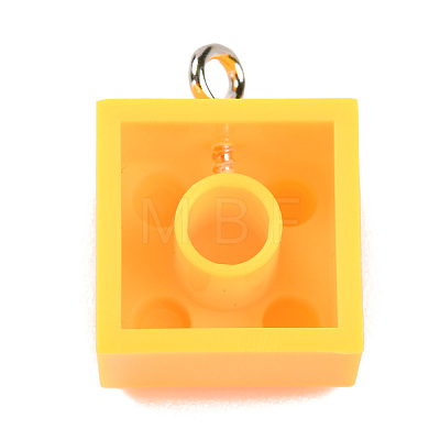 Resin Pendants RESI-E017-A13-1