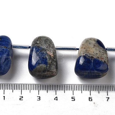 Natural Sodalite Beads Strands G-P528-E12-01-1