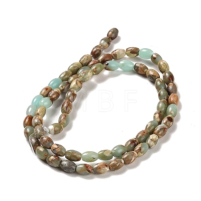 Natural Aqua Terra Jasper  Beads Strands G-F765-I01-01-1