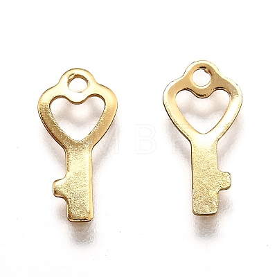 201 Stainless Steel Charms STAS-B001-22G-1