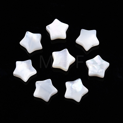 Natural White Shell Beads SSHEL-N032-54B-1